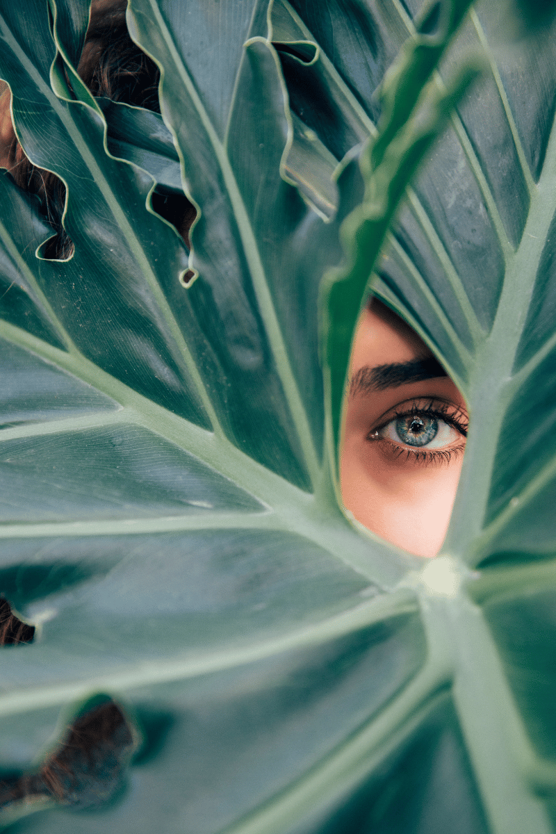 Bye Eye Bag w/ 5 Korean Eye Creams to Brighter Eyes!